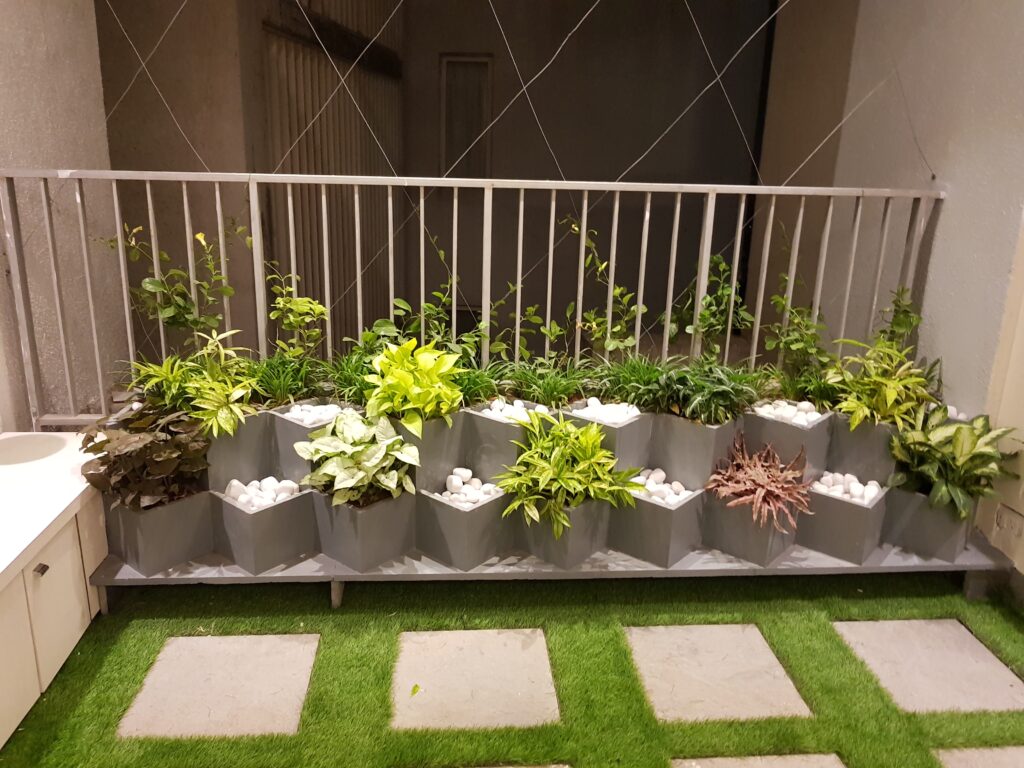 Terrace Gardening Services in Navi Mumbai